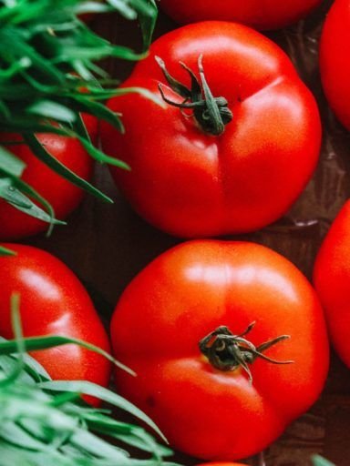 tomates