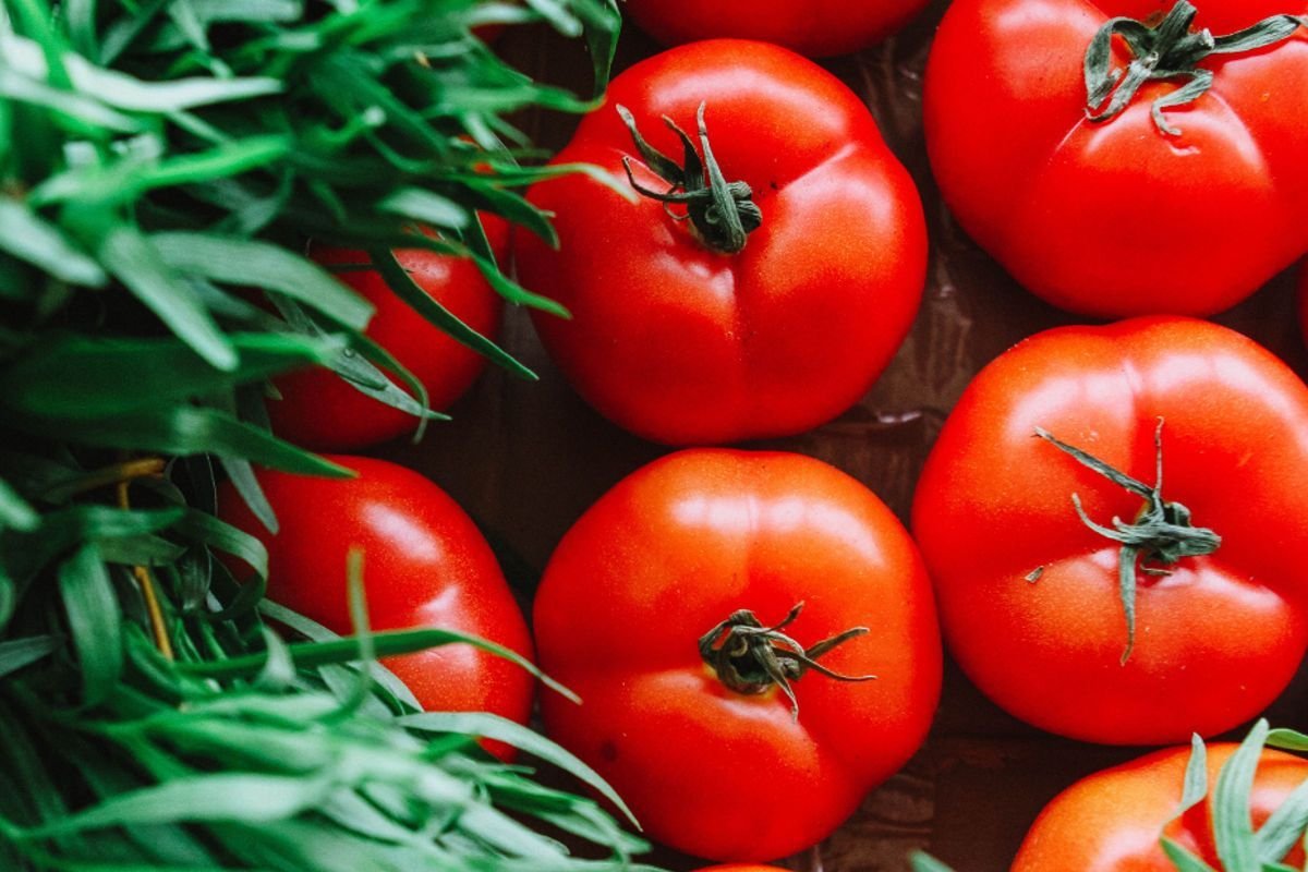 tomates